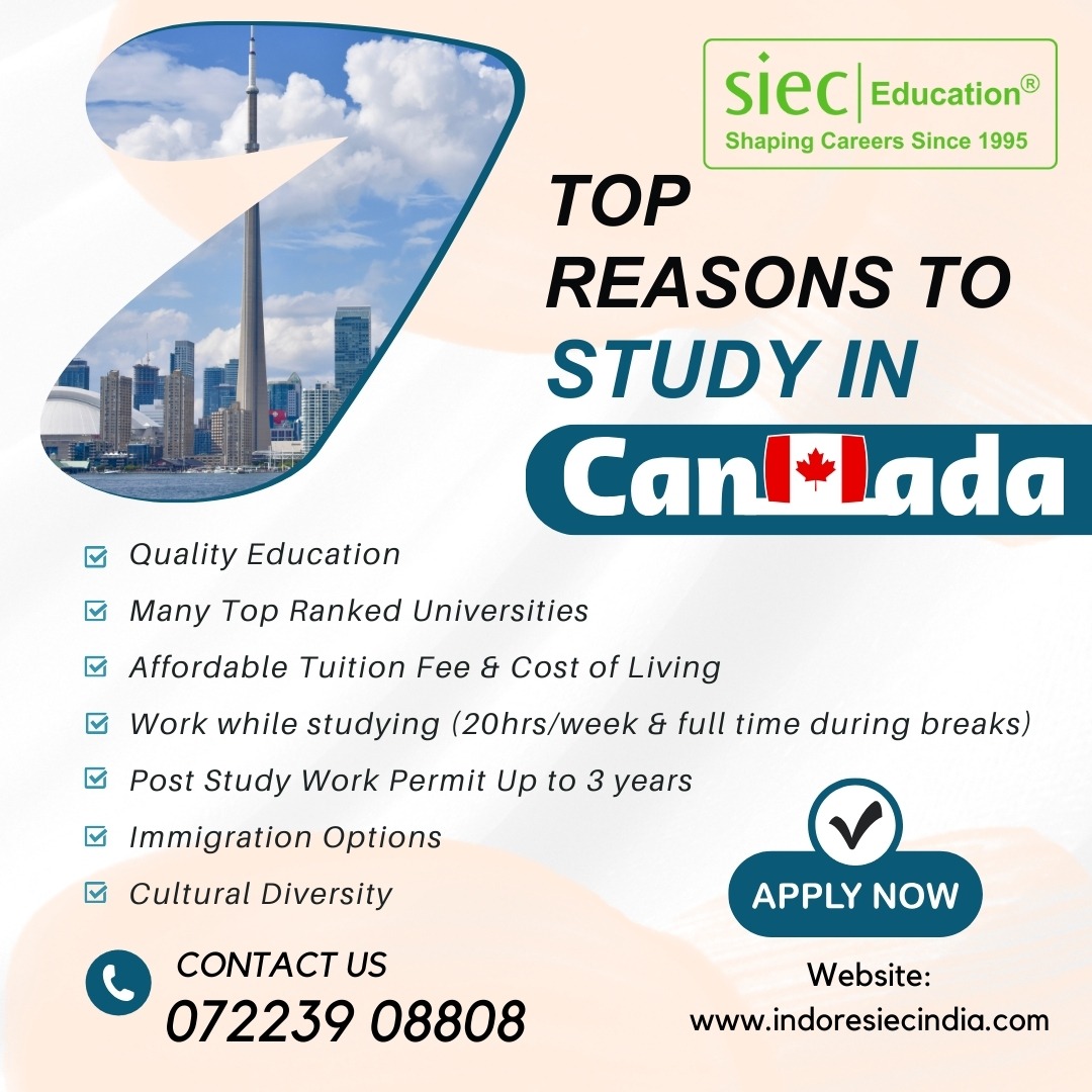Study Abroad Consultant In Indore